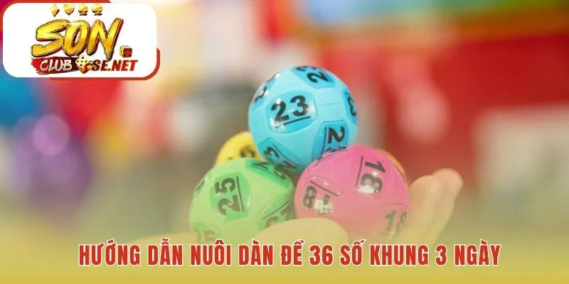 Hướng dẫn nuôi và giải thích cách soi cầu vào tiền